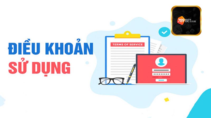 Tổng quan về điều khoản sử dụng tại 789Bet